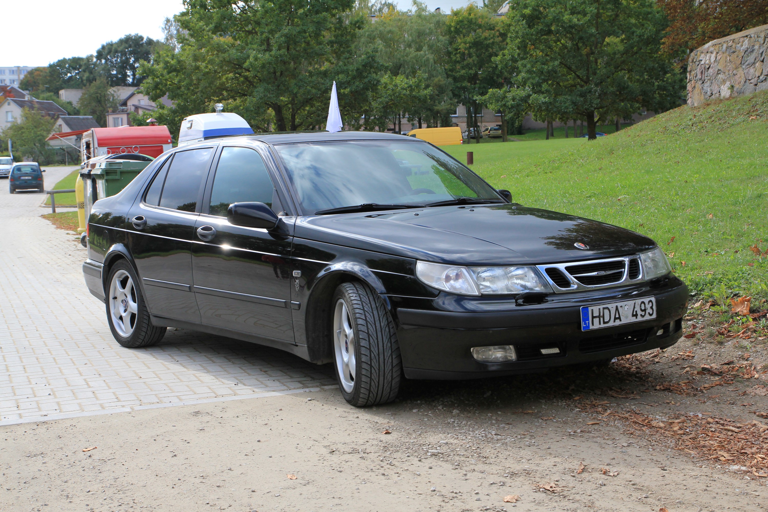 IMG_7399 (Custom).JPG/><br />
			<span class=