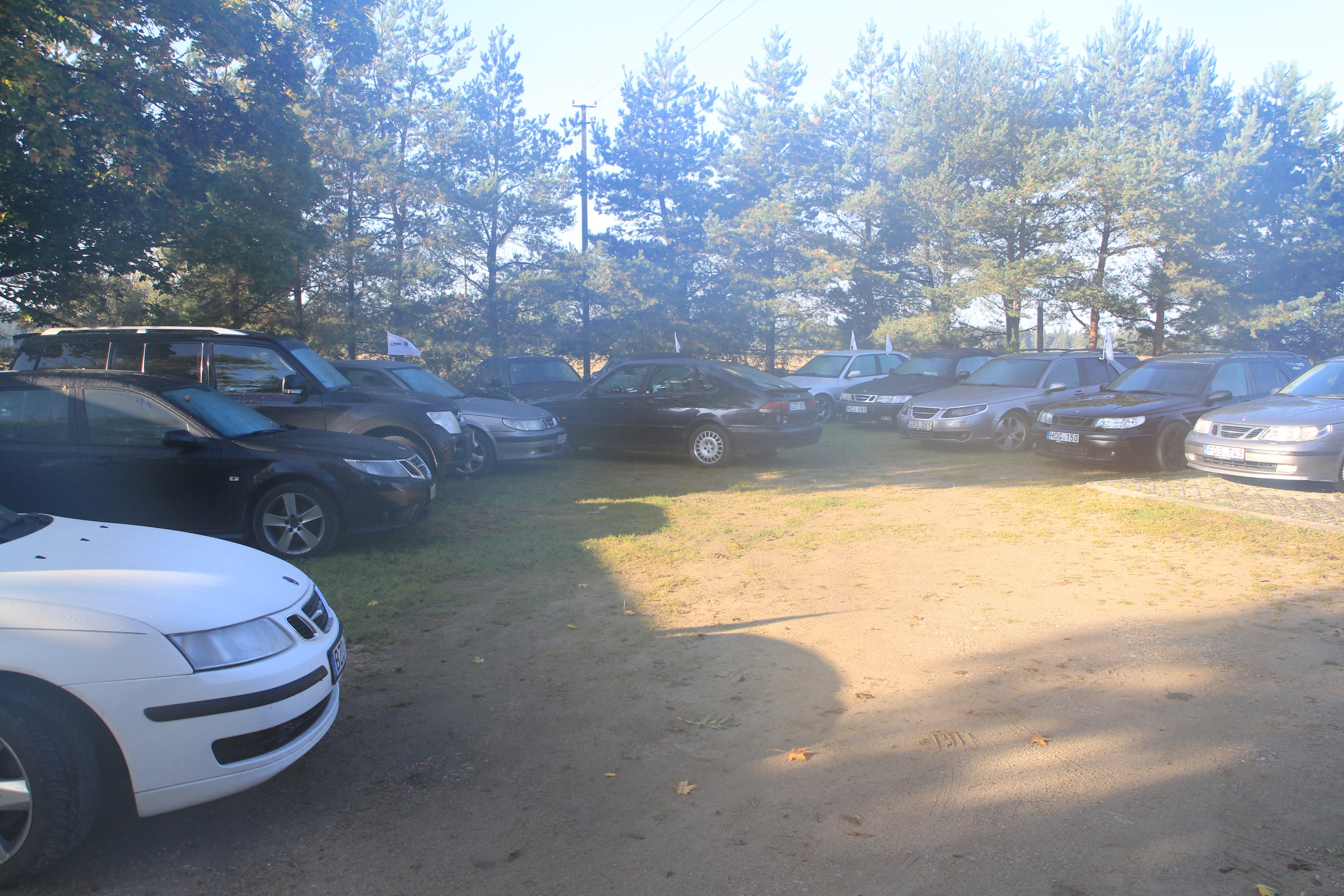 IMG_7443 (Custom).JPG/><br />
			<span class=