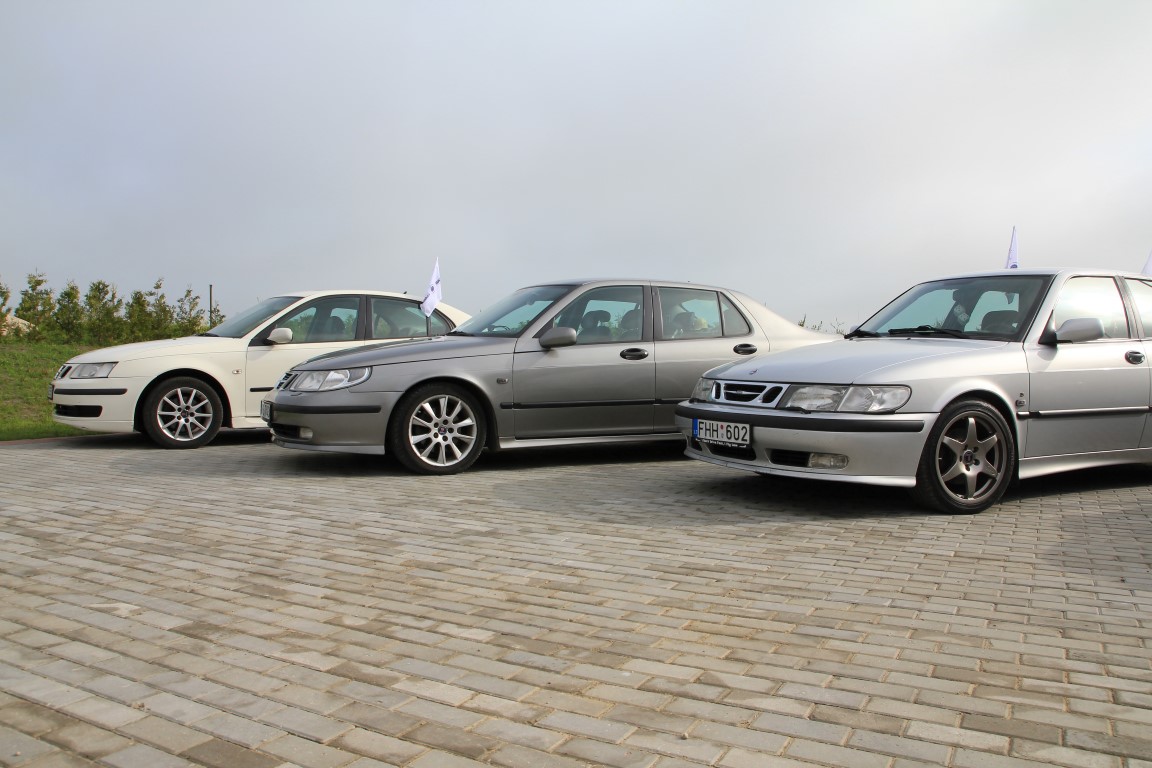 IMG_6539 (Medium).JPG/><br />
			<span class=